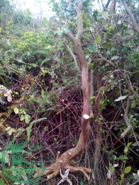 IMG20150306155520.jpg