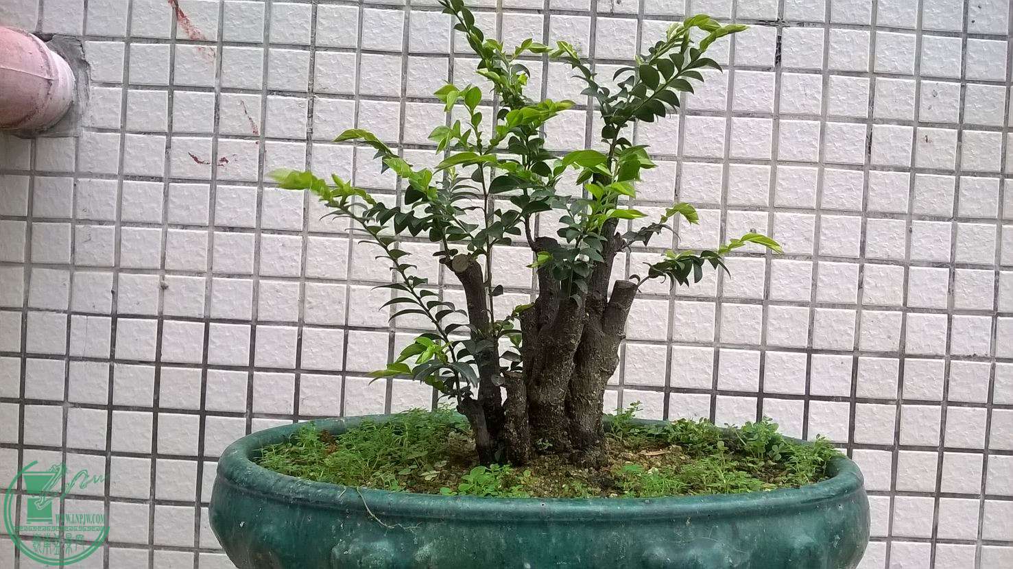 WP_20150306_17_09_37_Pro.jpg