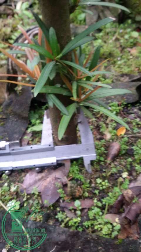 20150307_124948.jpg