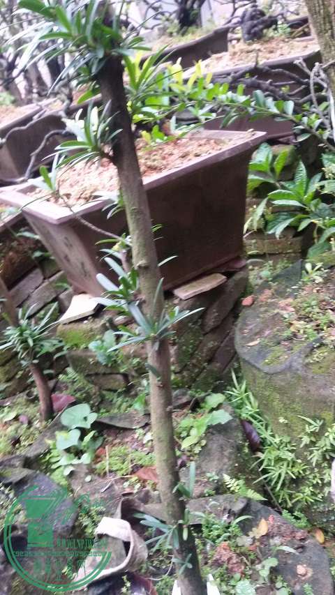 20150307_125005.jpg