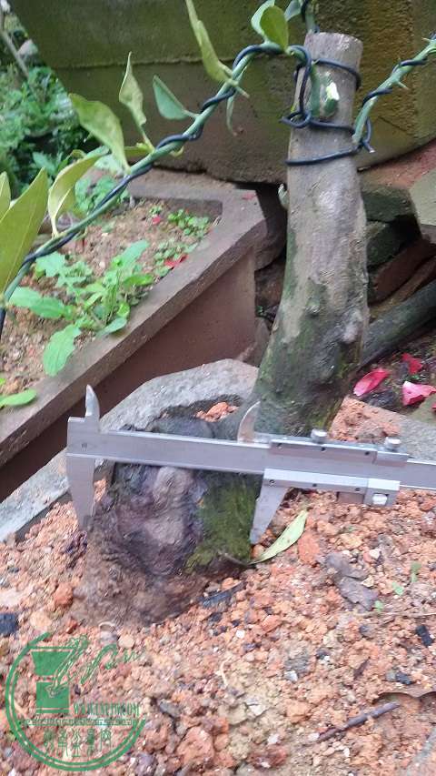 20150307_125548.jpg