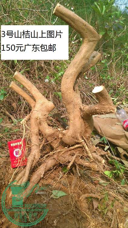 QQͼƬ20150307211024.jpg