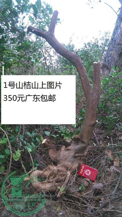 QQͼƬ20150307210940.jpg