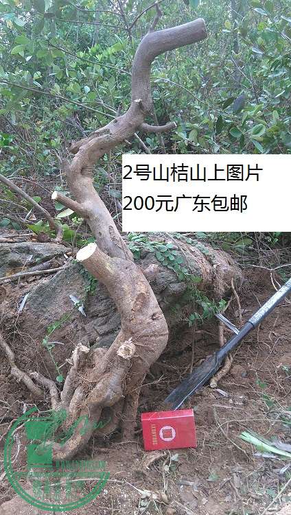 QQͼƬ20150307211012.jpg