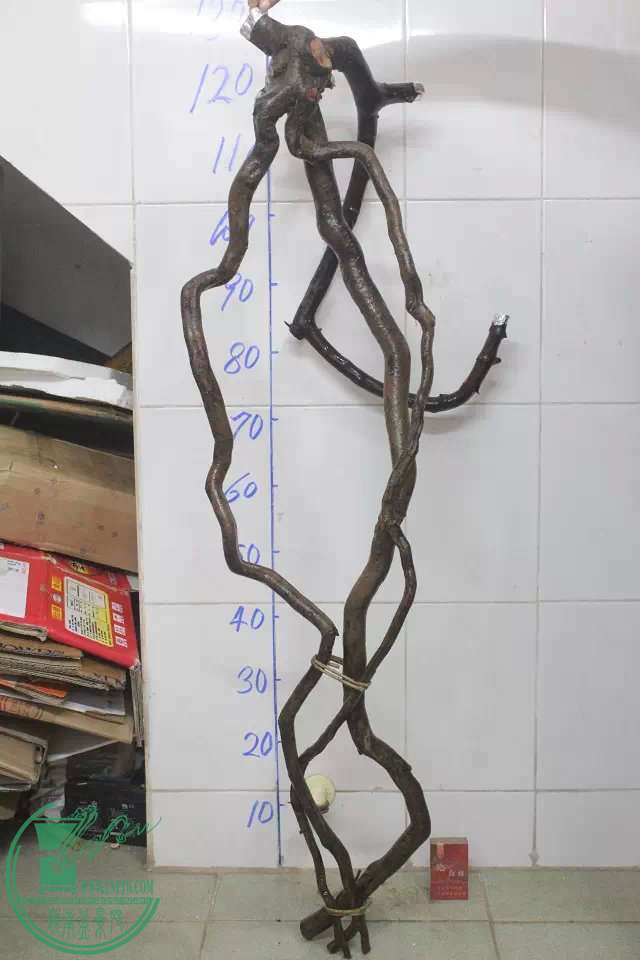 psb (2).jpg