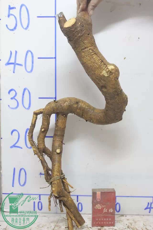 psb (2).jpg