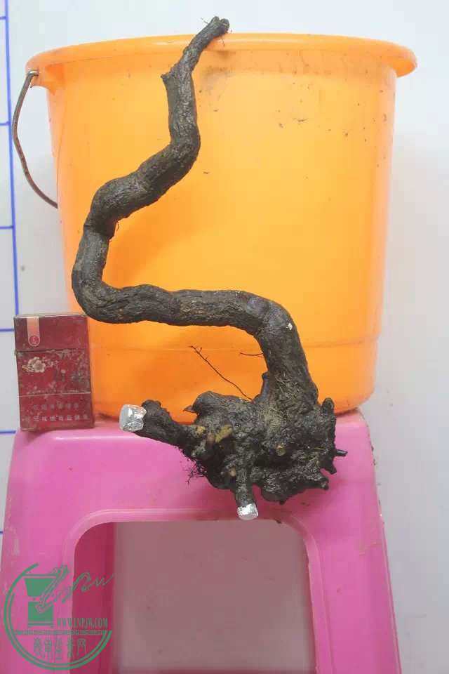 psb (2).jpg