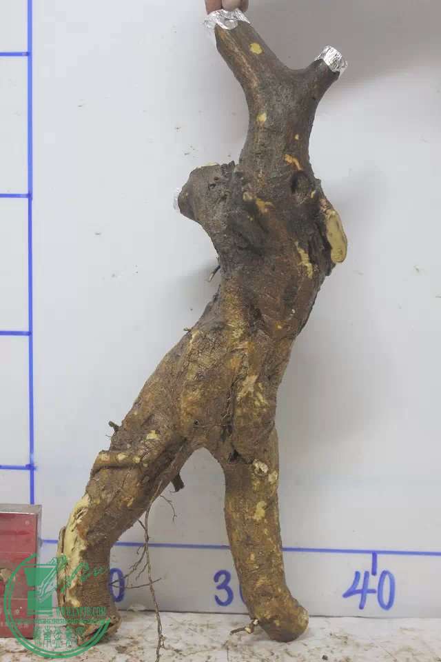 psb (3).jpg