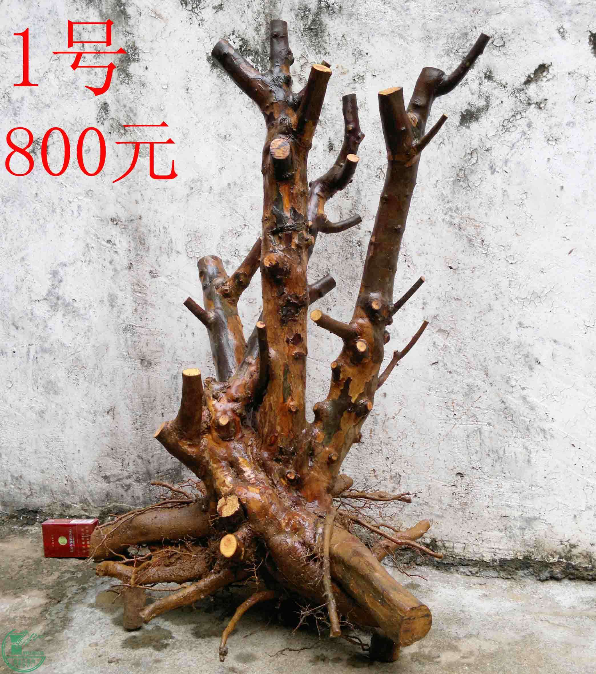 201102092899.jpg