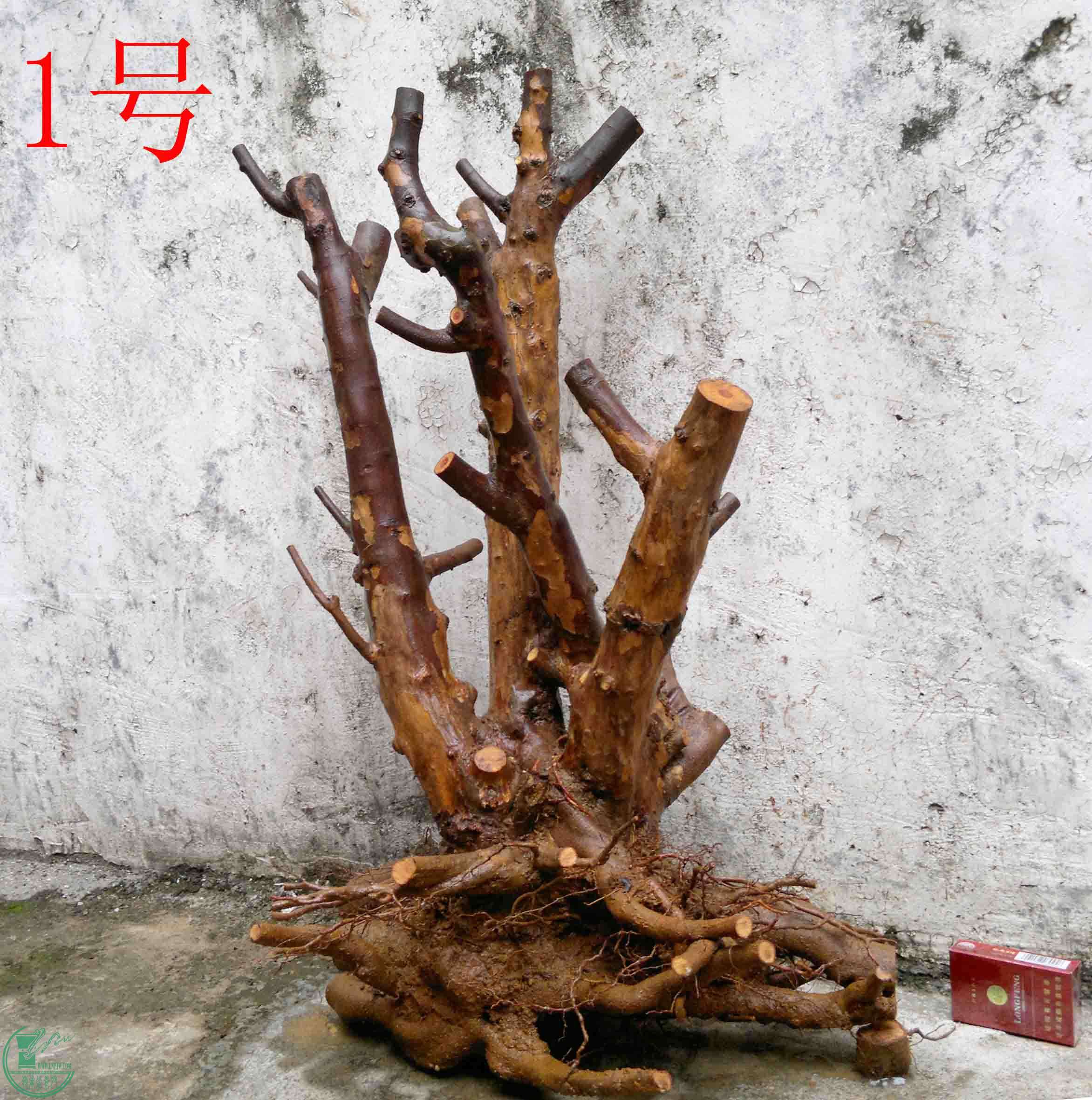 201102092913.jpg