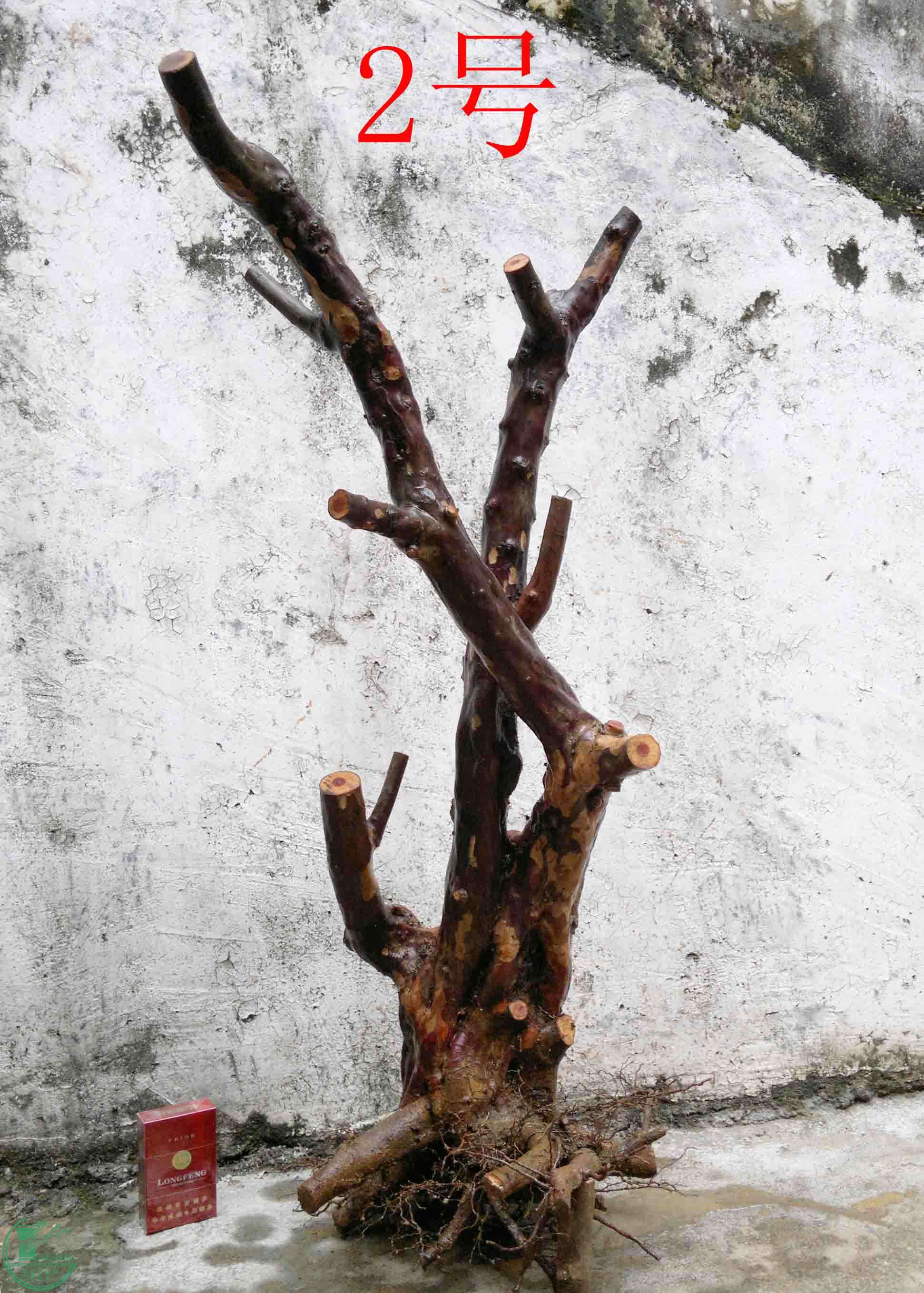 201102092931.jpg