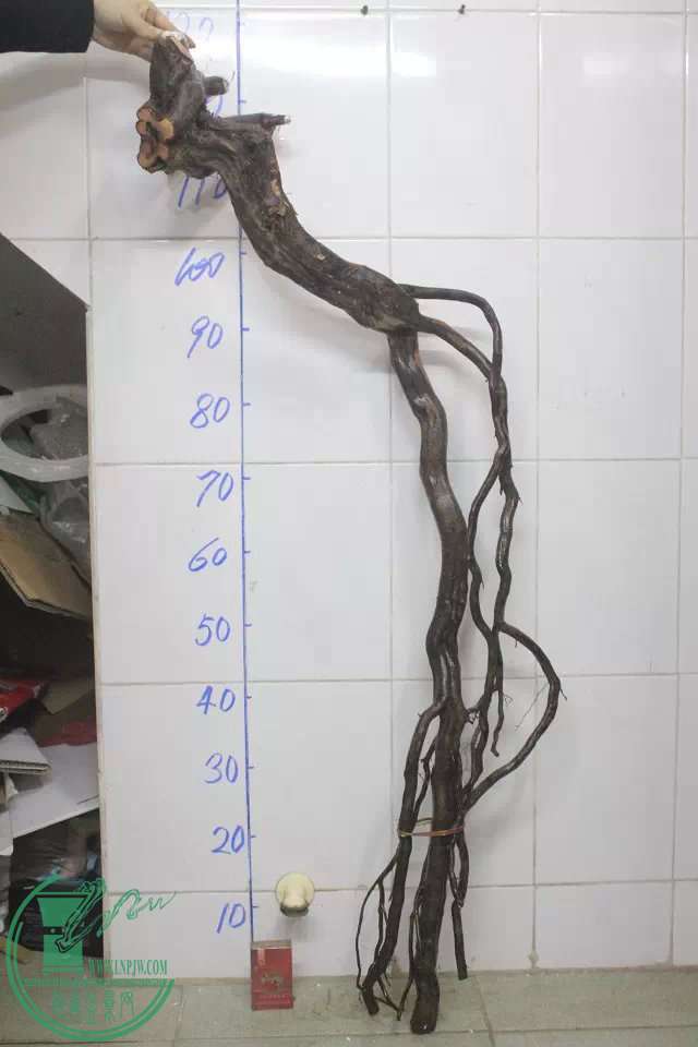 psb (15).jpg