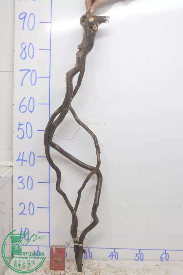 psb (11).jpg
