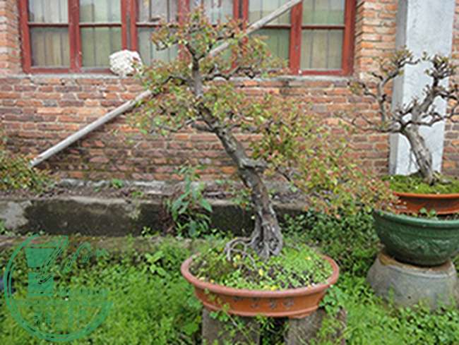 DSC03013.jpg