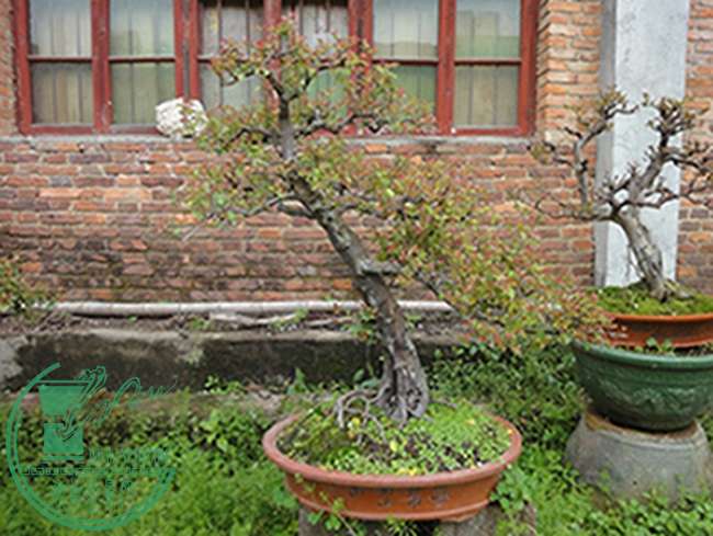 DSC03046.jpg