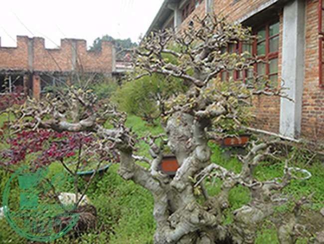 DSC03048.jpg