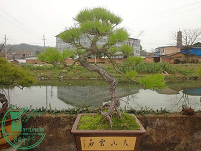 DSC03066.JPG