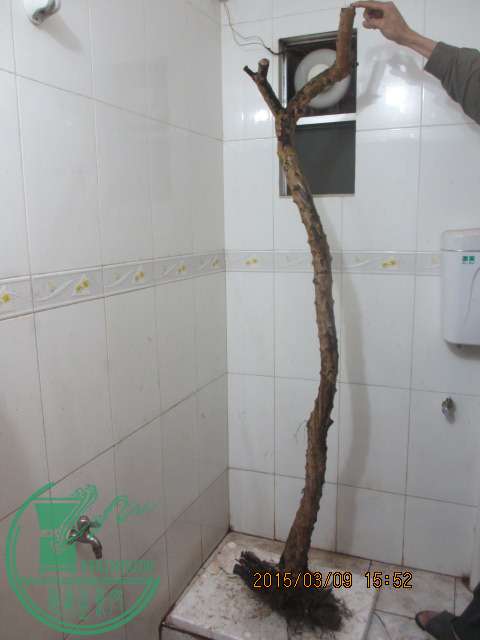 IMG_5720.JPG