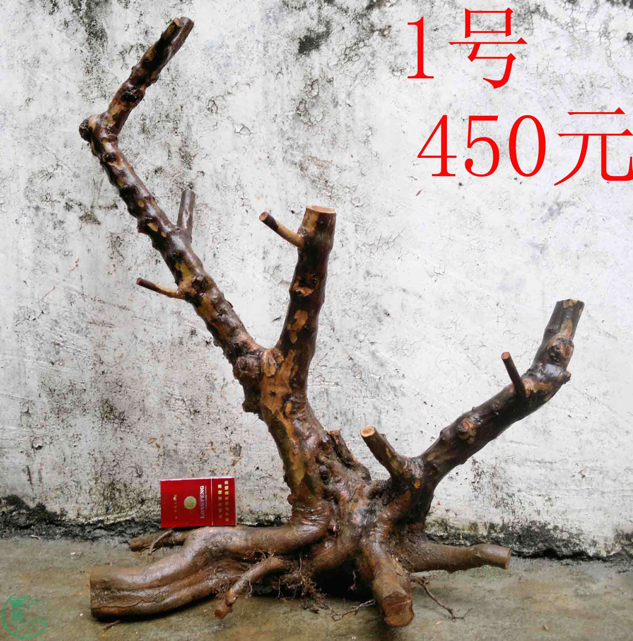 201102113088.jpg