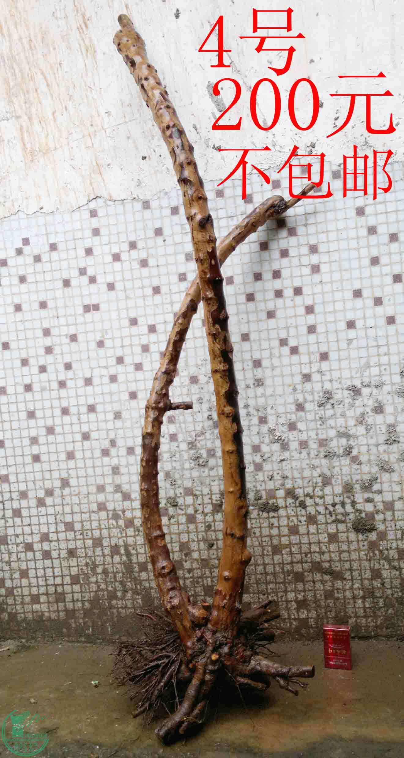 201102113101.jpg