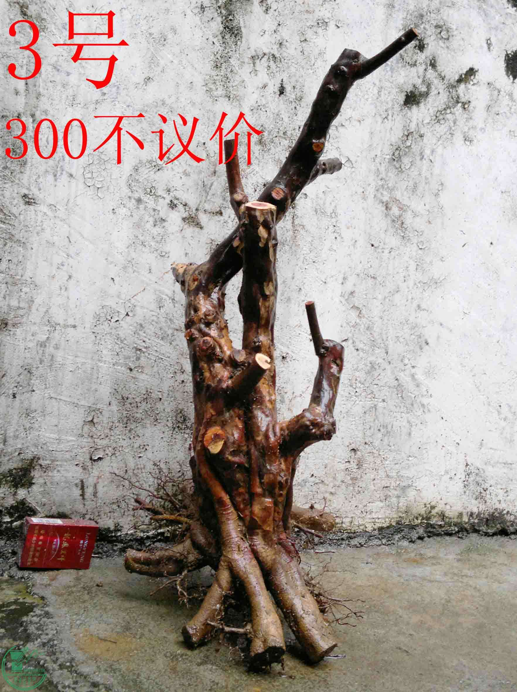 201102112982.jpg
