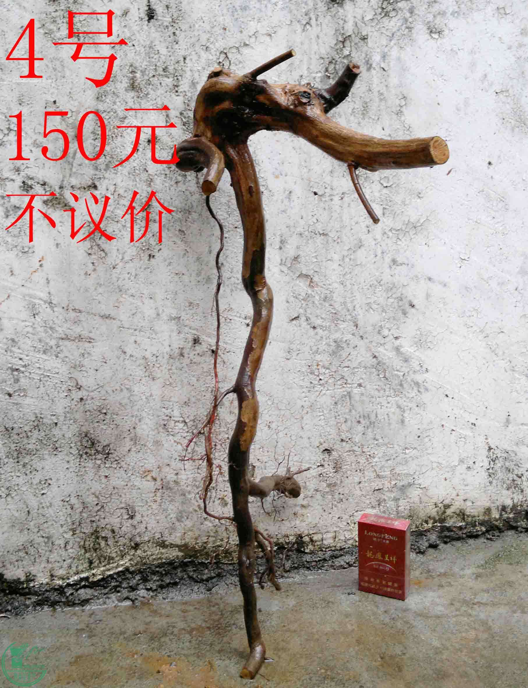 201102112993.jpg