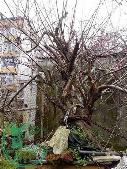 2011궬 (63) - .jpg
