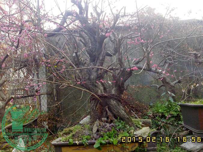 2015.02.jpg