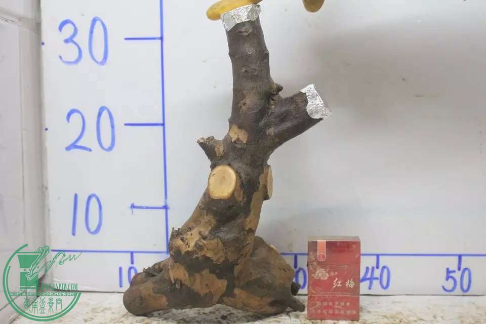 psbCA9Y6FCR.jpg