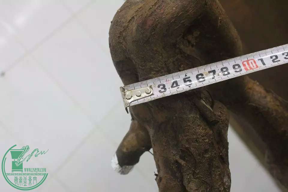 psbCAF5O8LM.jpg