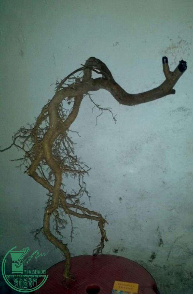 520250821.jpeg
