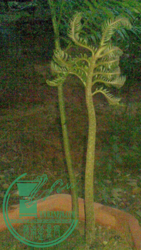 QQͼƬ20150313114047.png