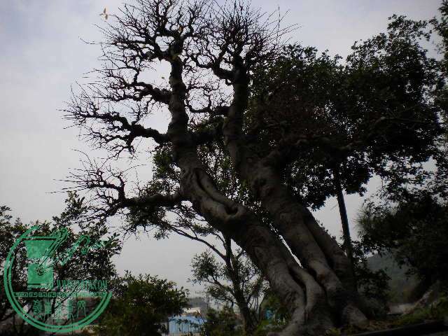 DSCN7756.JPG