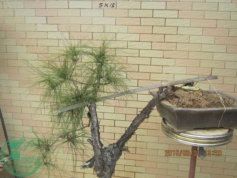 113.JPG