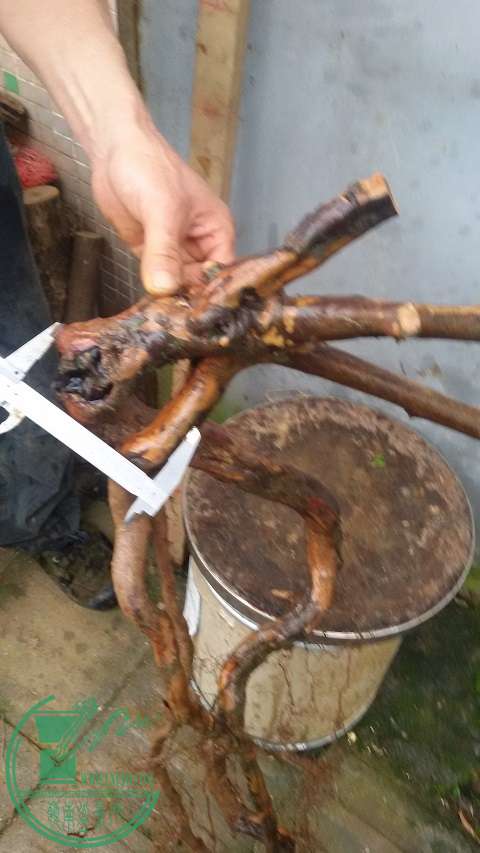 20150315_171111.jpg