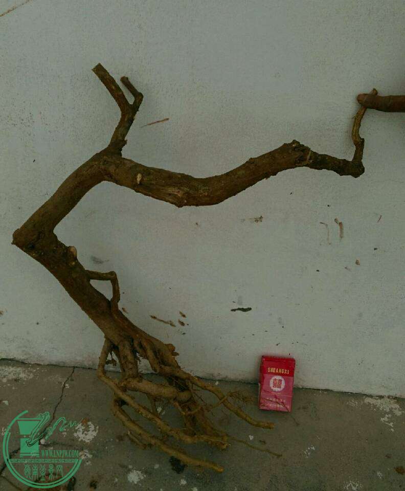 -6a6b5a7eceef4ffd.jpg