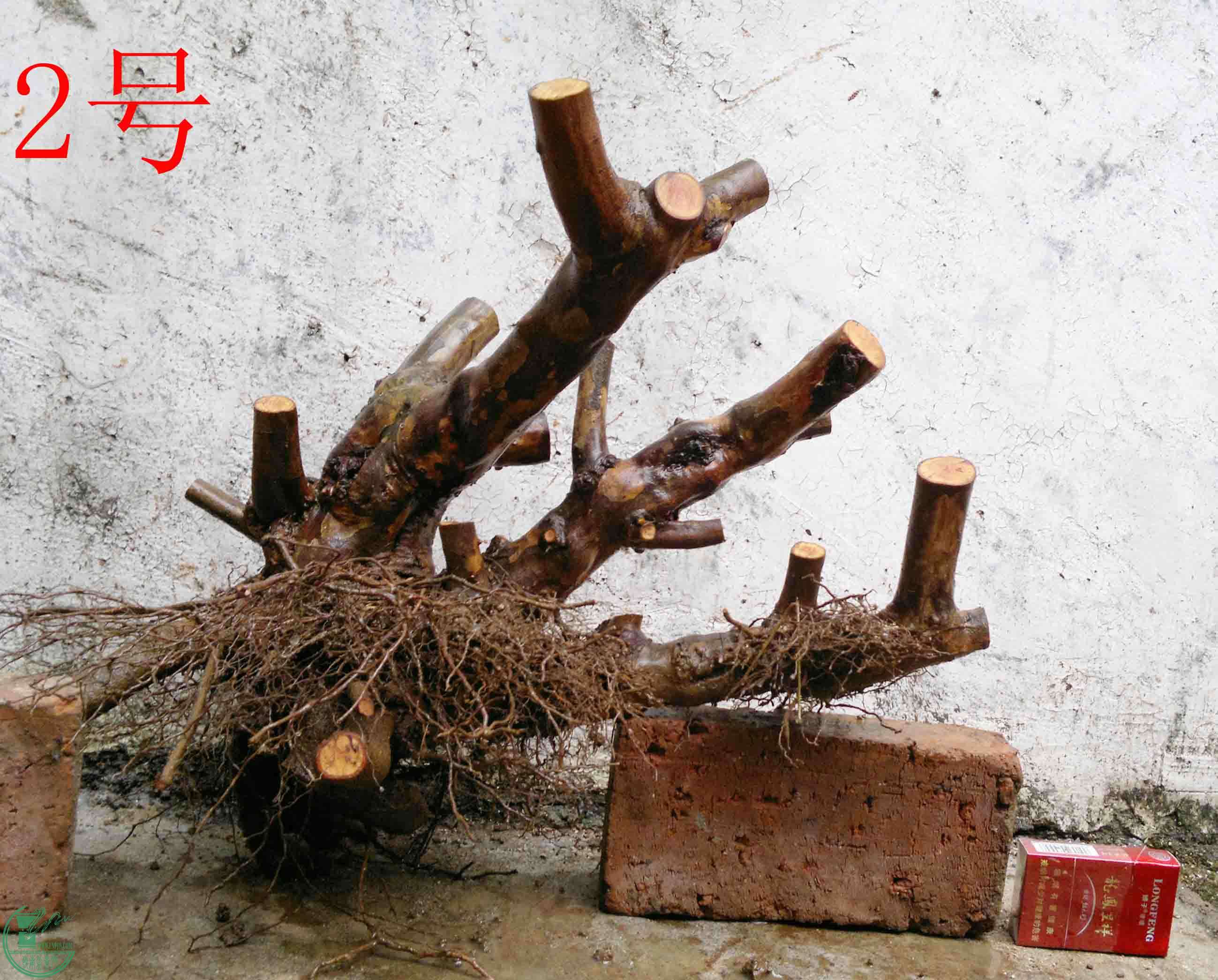 201102173289.jpg