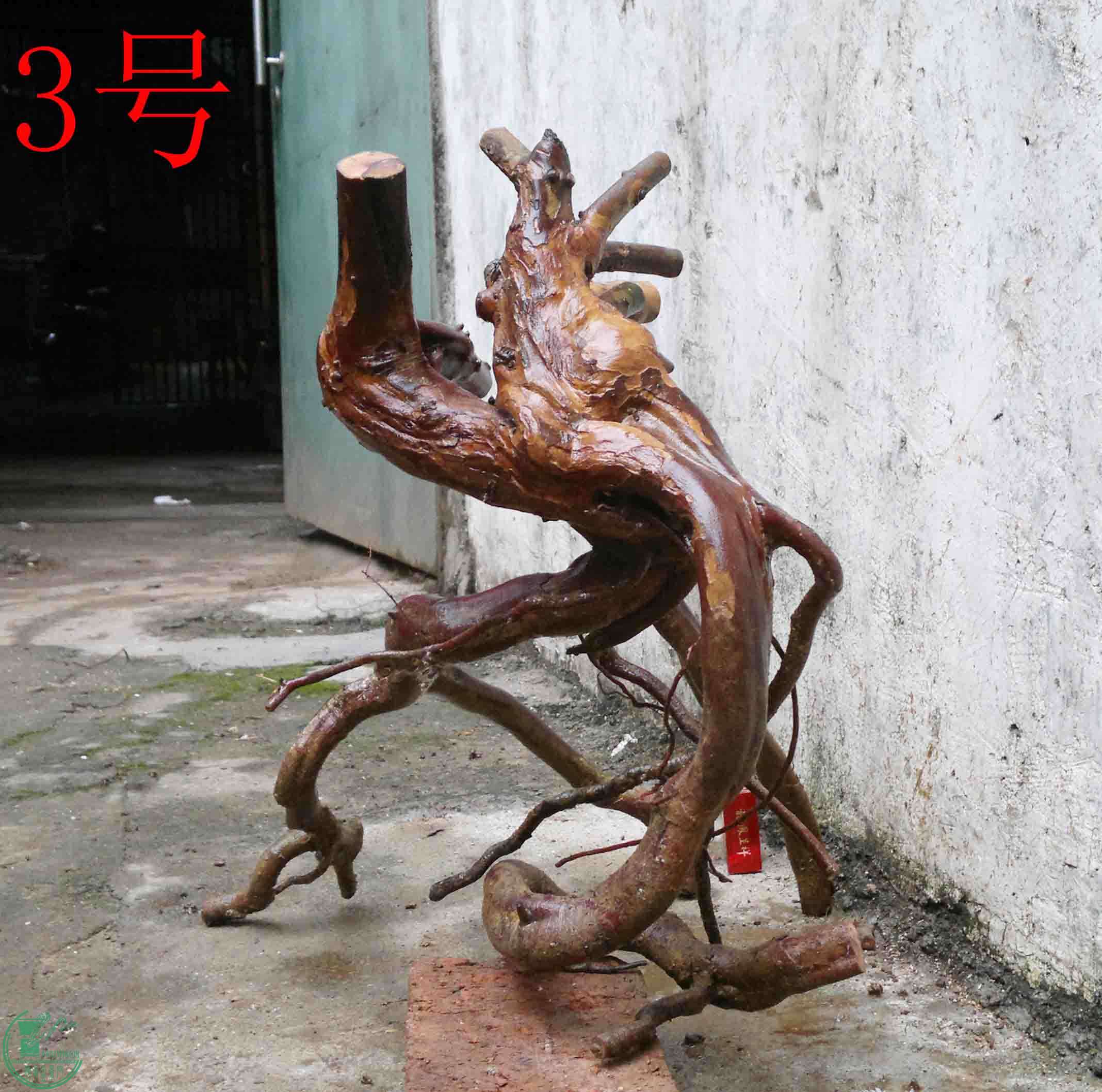 201102173307.jpg