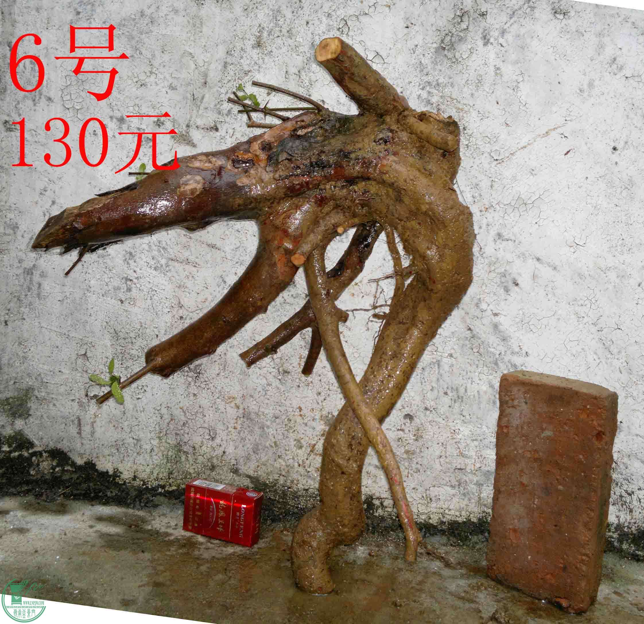 201102173339.jpg