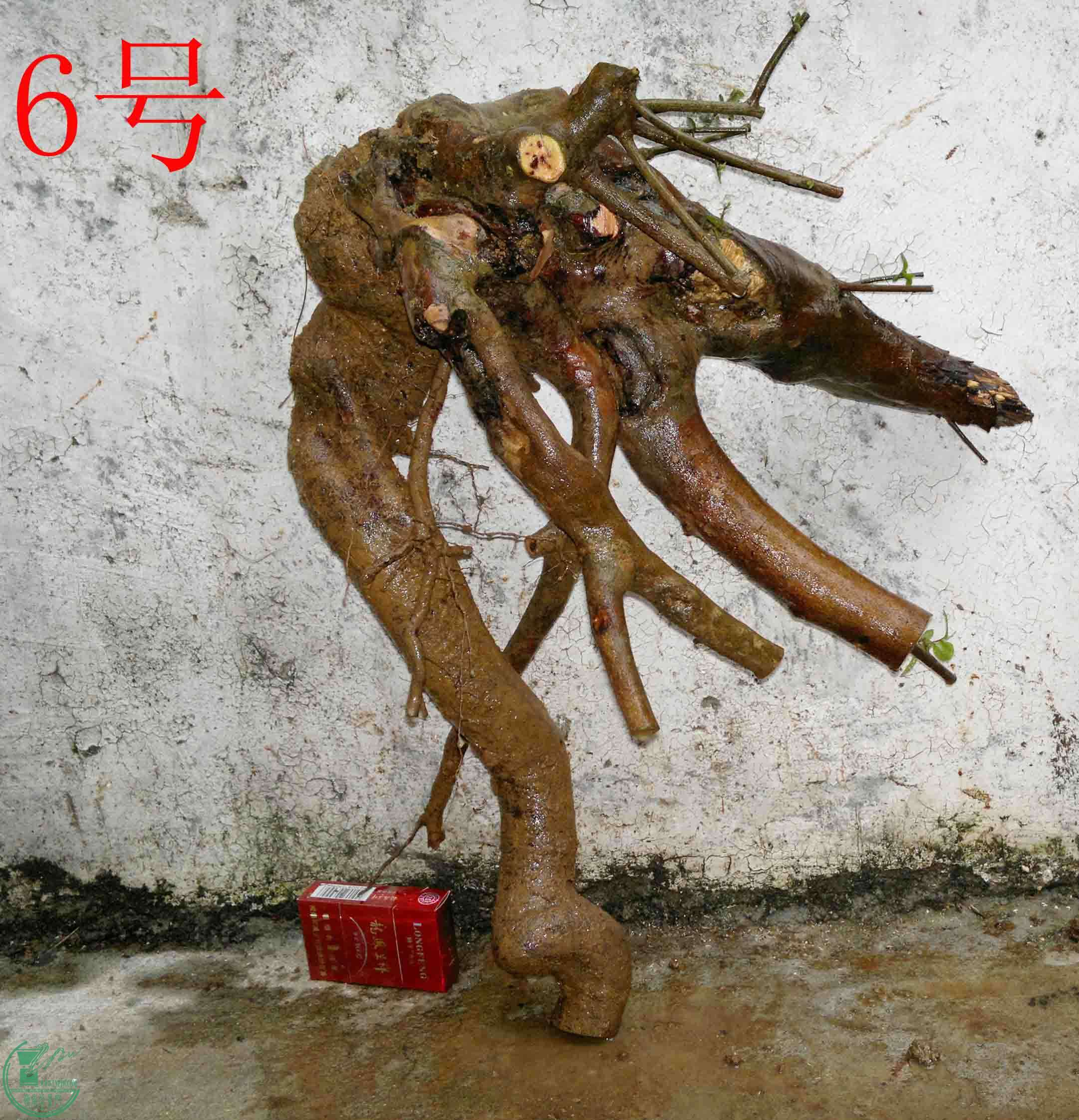 201102173341.jpg