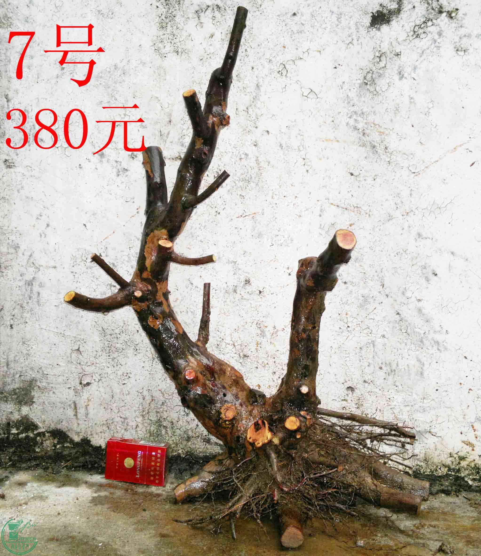 201102173352.jpg