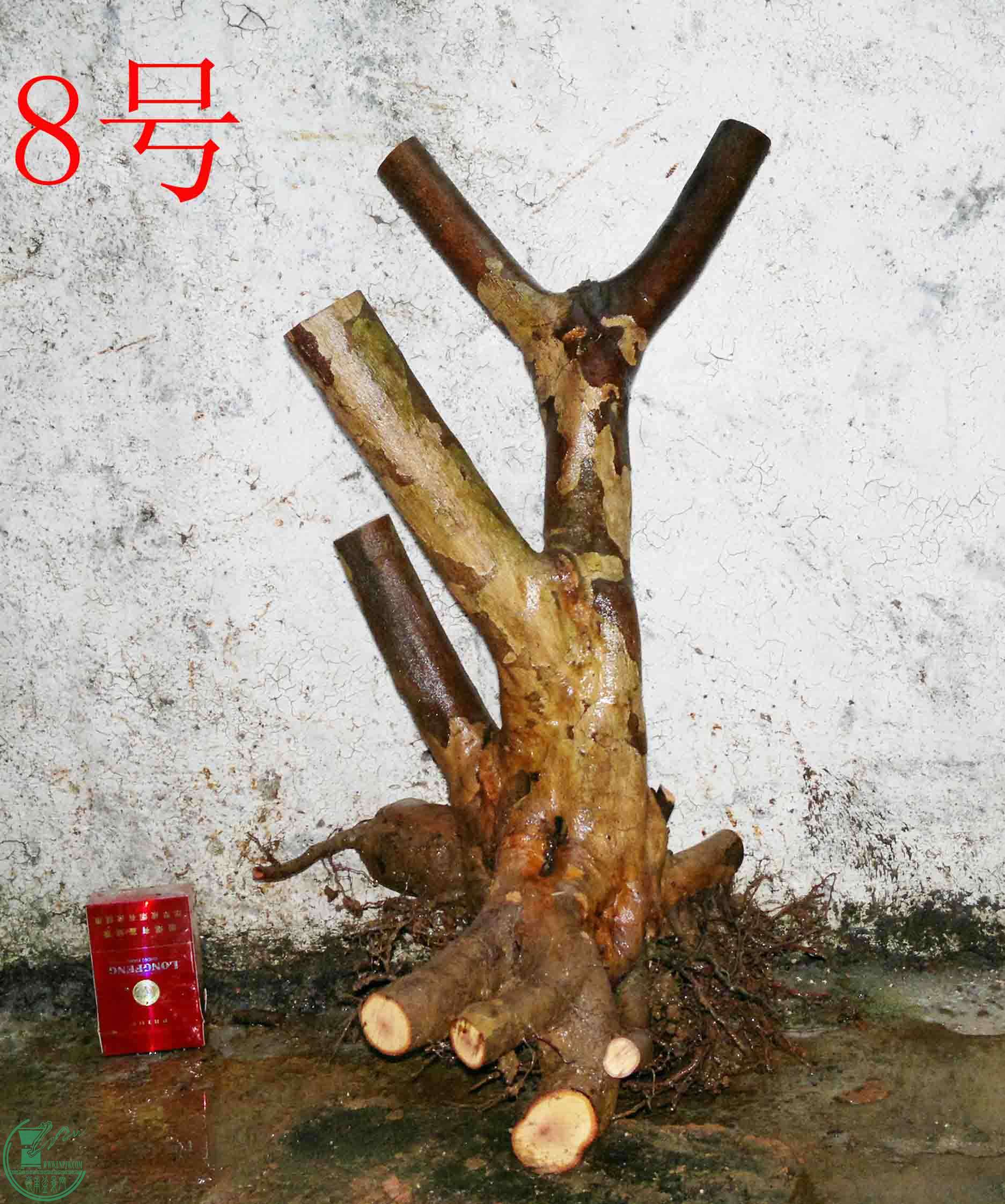 201102173370.jpg