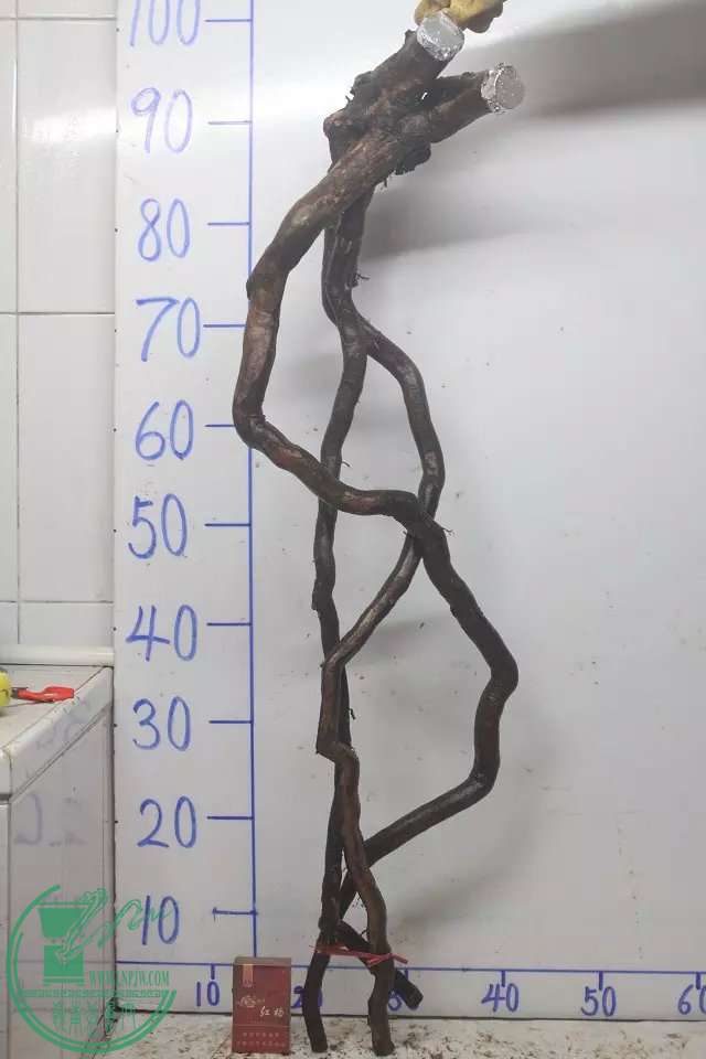 psb (3).jpg