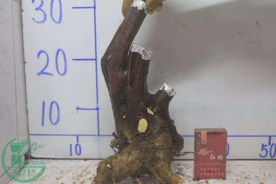 psb (9).jpg
