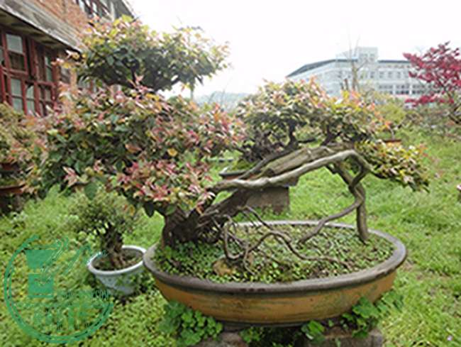 DSC03081.jpg