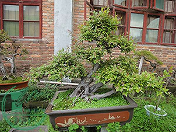 DSC03091.jpg