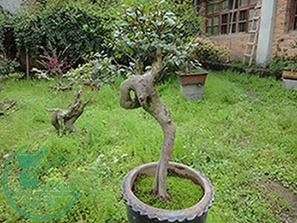 DSC03098.jpg