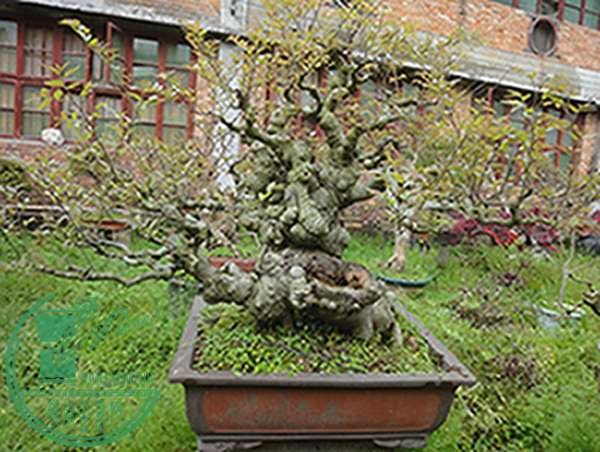 DSC03101.jpg