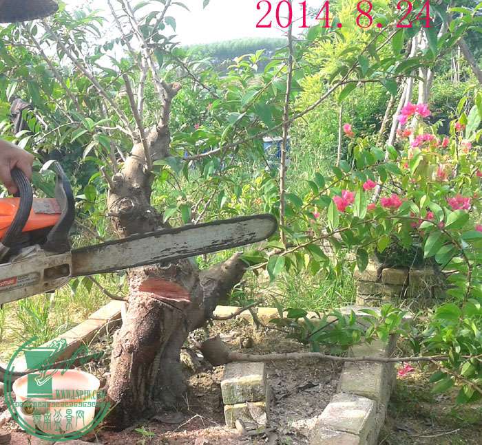 2014.8.24b.jpg