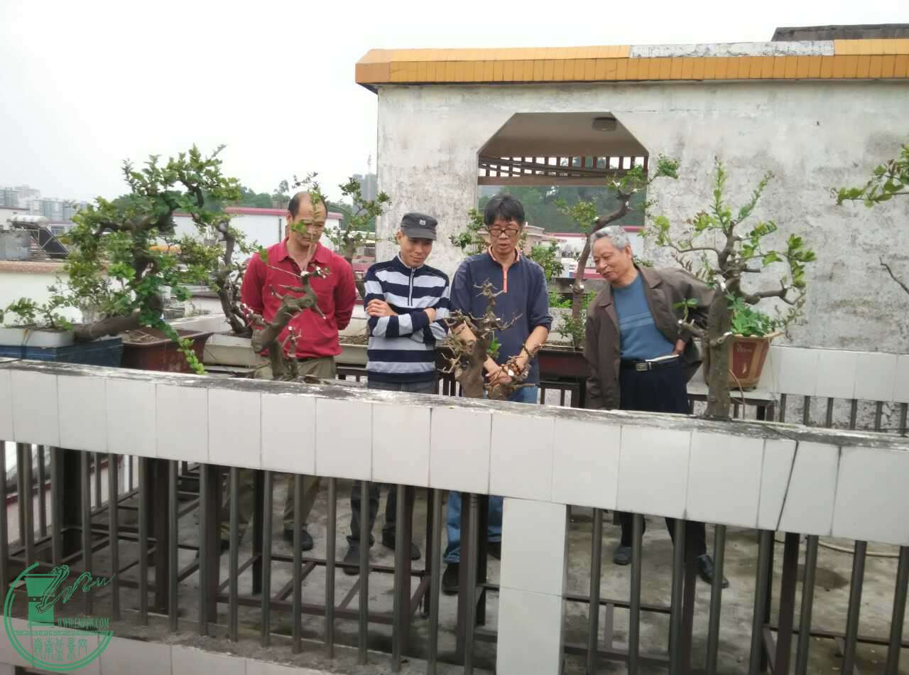 ʦ2.jpg